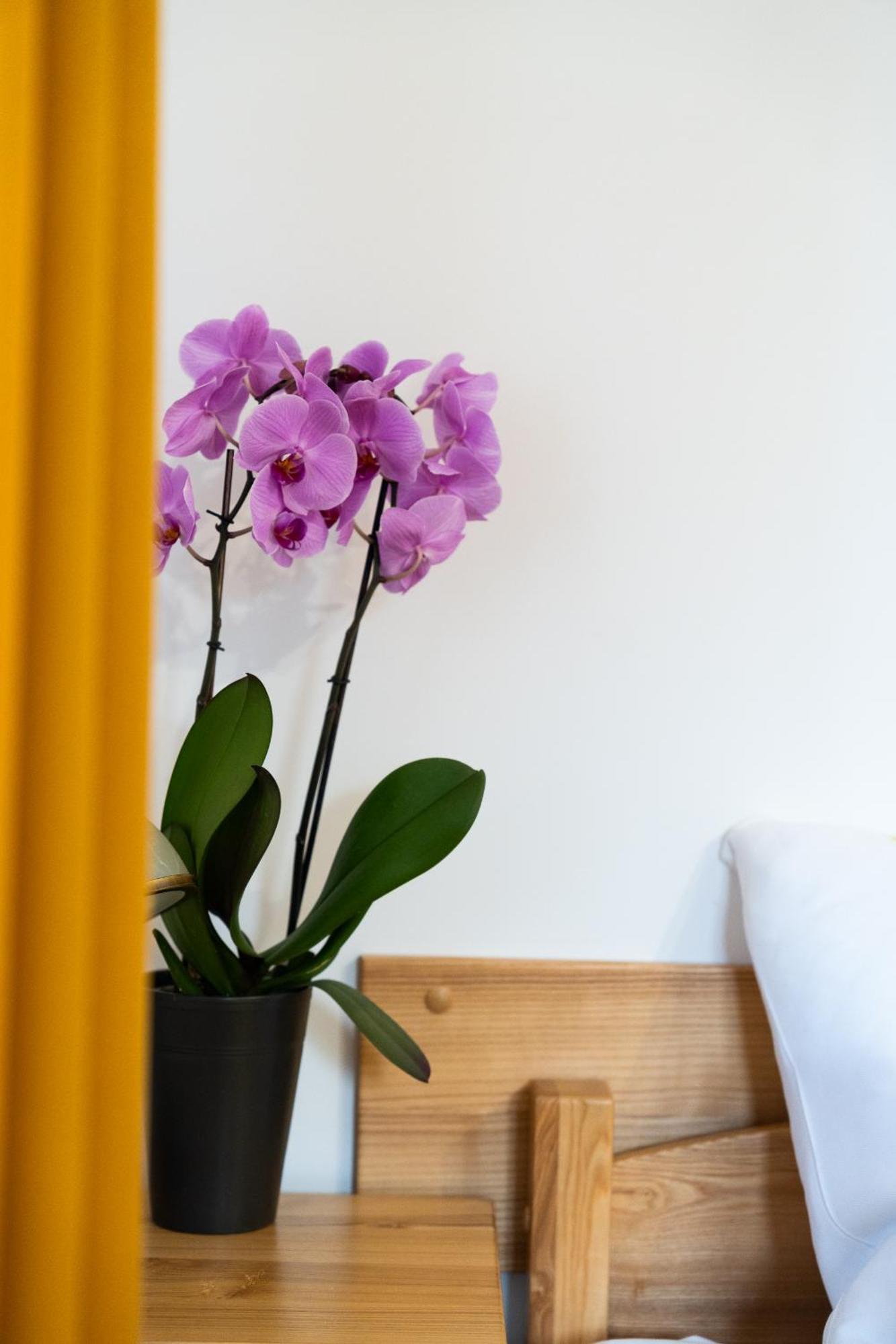 Dom Krawca - Pod Chojnikiem Apartment Jelenia Gora Bagian luar foto